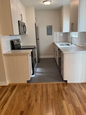 Hoyt Court Townhouse Hardwoods Patio Quartz DW Parking Pet – photo 1