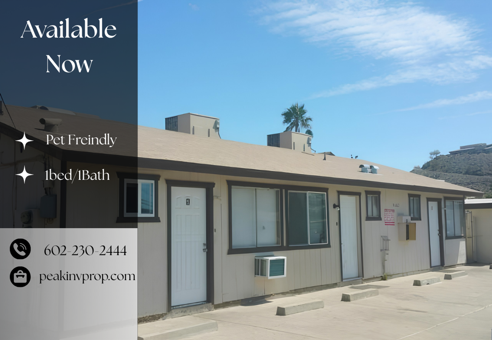 Phoenix Apartment: 9602 N 11th Ave