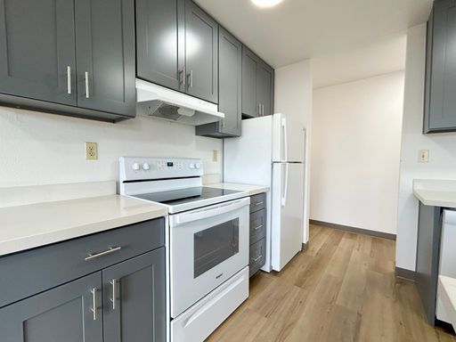 MOVE-IN SPECIAL! Newly Renovated Spacious 1BDx1BA Located on Greek Row! – photo 1