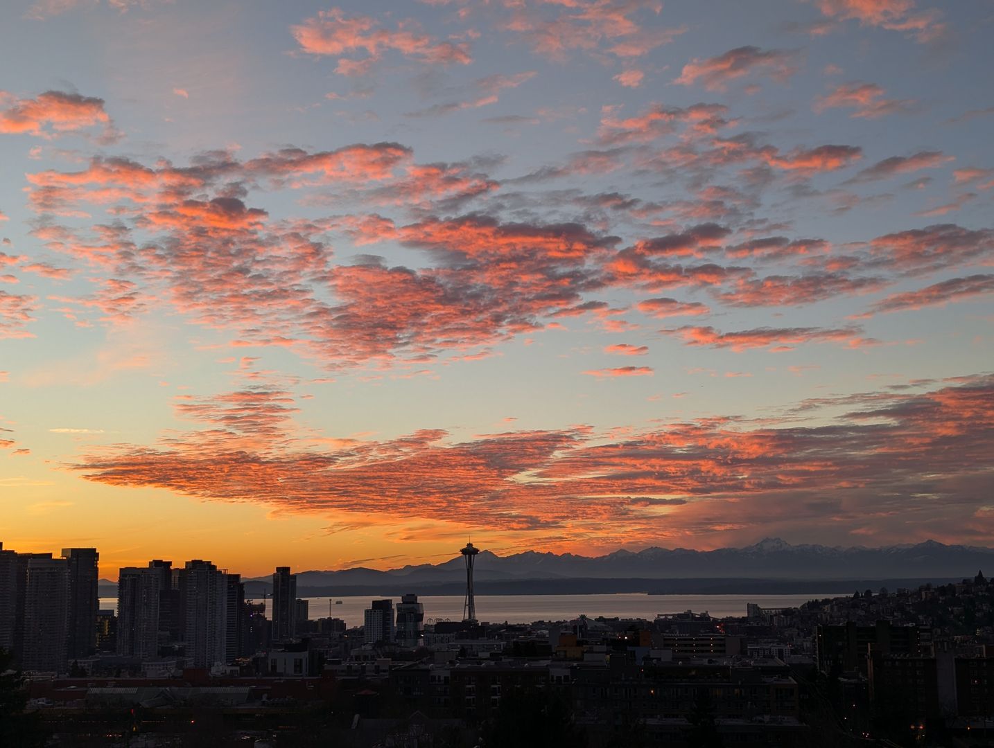 Seattle Apartment: 535 13th Ave E