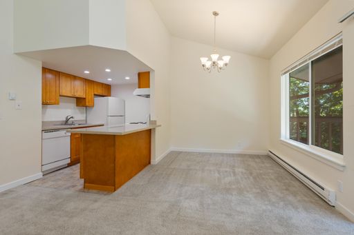 Spacious 1x1 in Bellevue - Near Light Rail Station, Downtown, and Parks! – photo 1