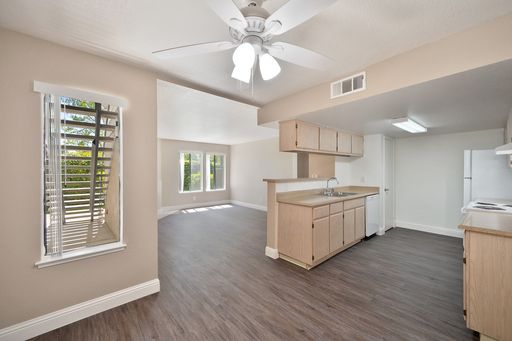 2x1 Downstairs, Plank Flooring – photo 1