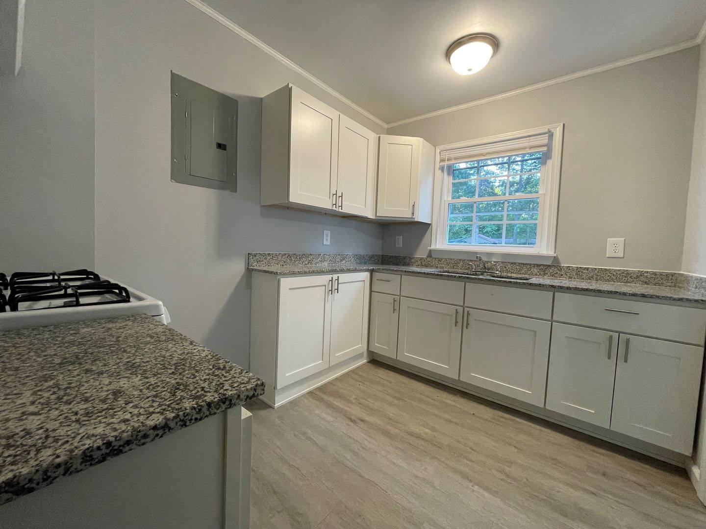 Siler City Apartment: 730 W Dolphin St