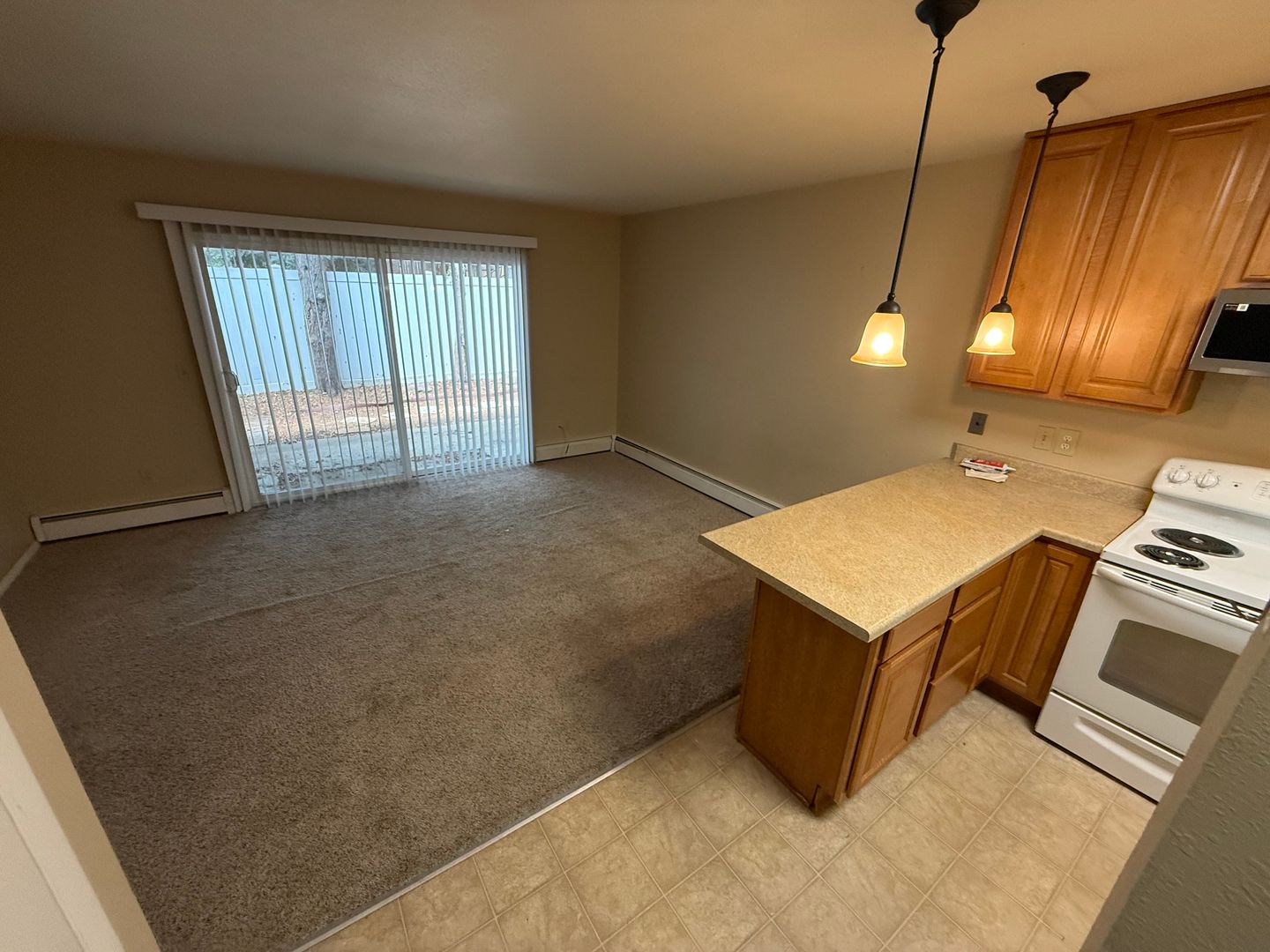 Boulder Apartment: 1535 Pine St