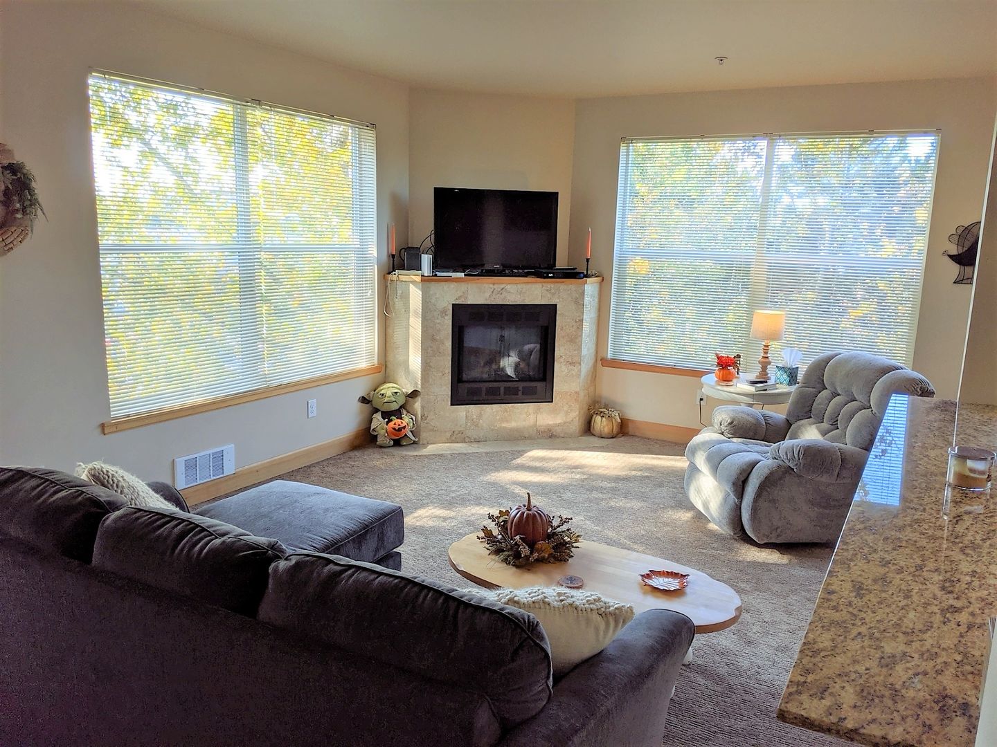 Bellingham Apartment: 263 W Bakerview Road