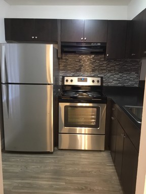 Renovated 1 Bedroom Available for Rent Centrally Located in Palm Springs – photo 1