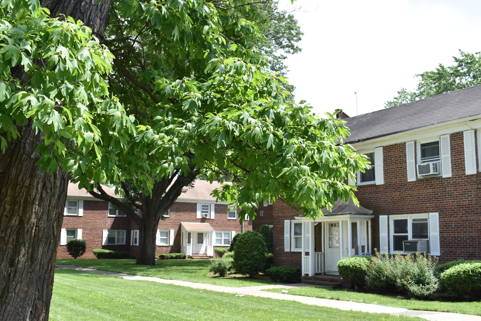 Plainfield Apartment: 750 East Front St