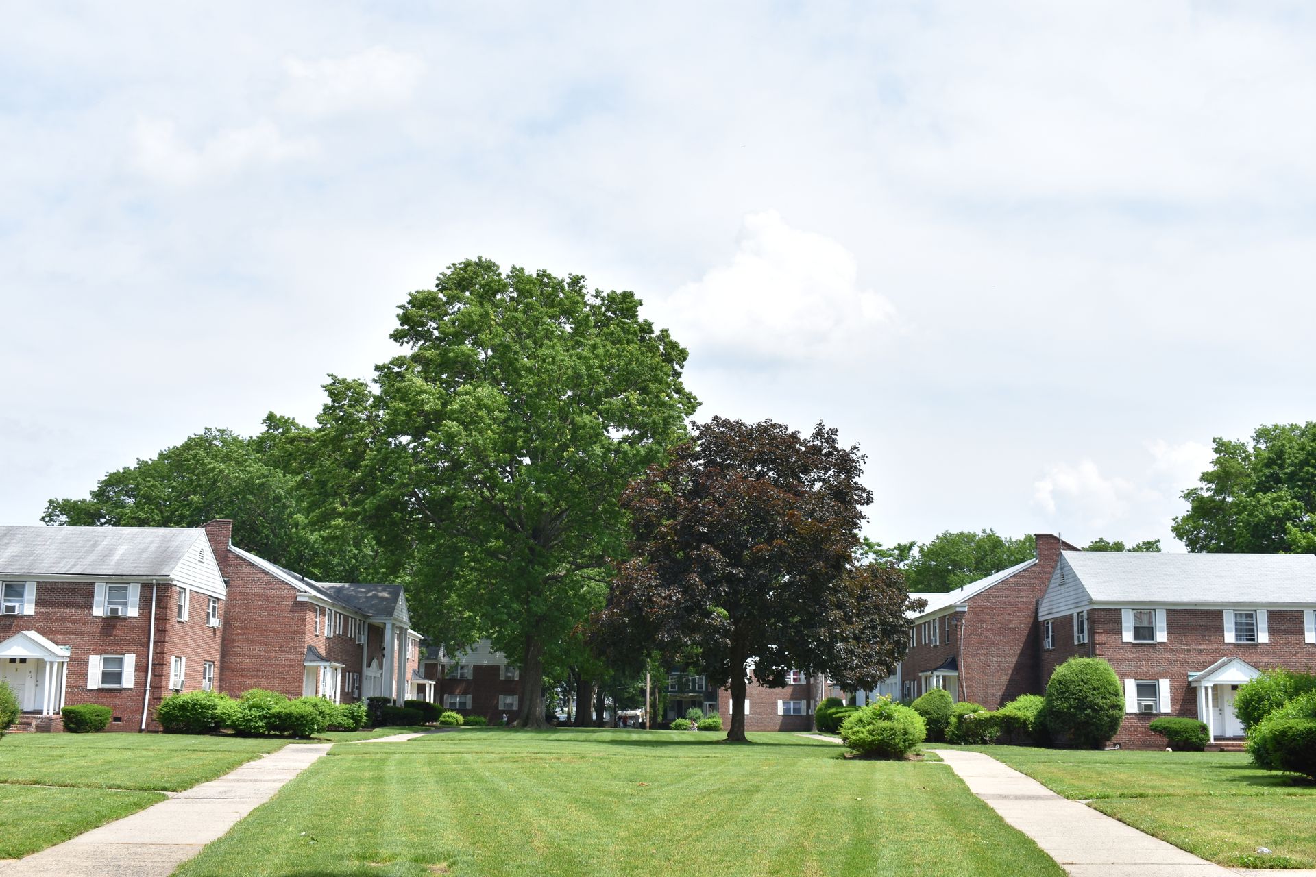 Michael Manor, LLC 12 of 12
