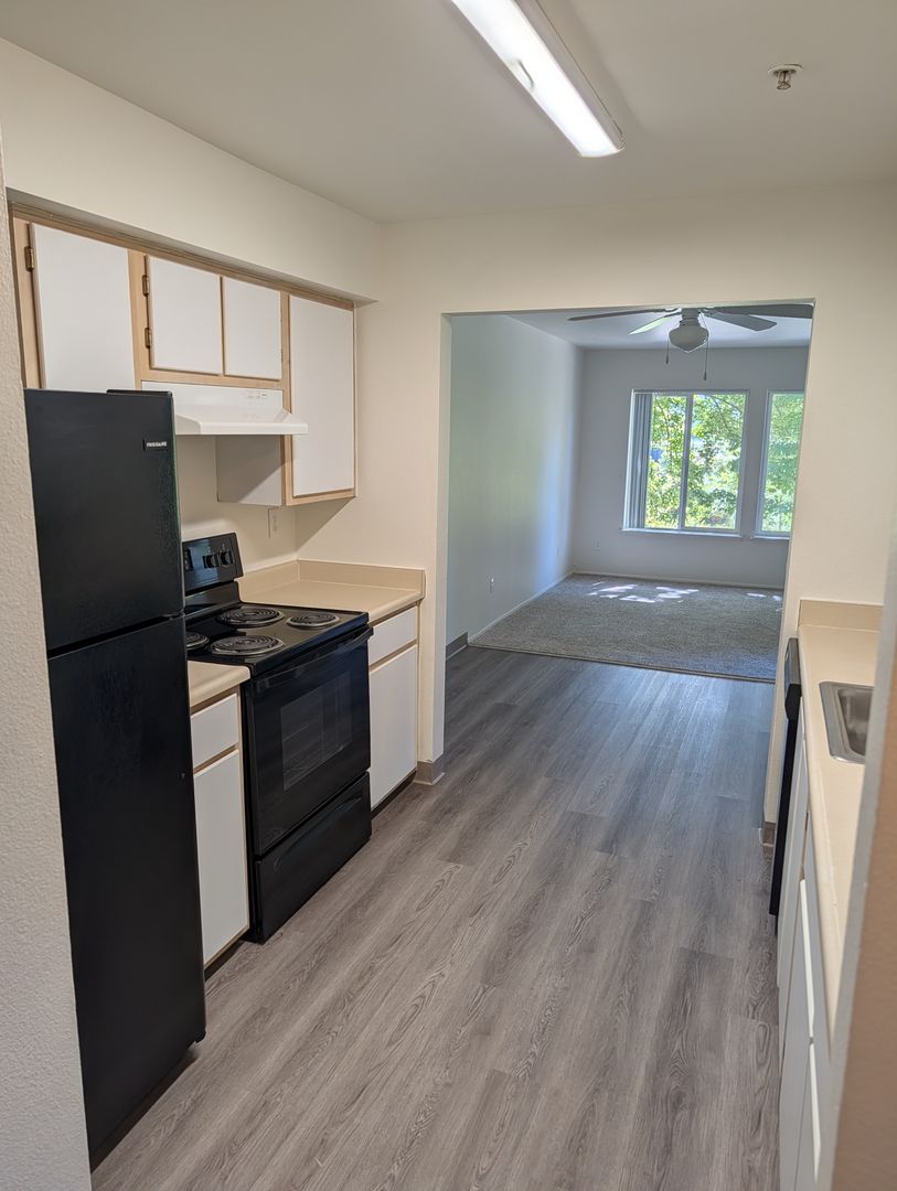 Albany Apartment: 2060 Queen Ave. SE