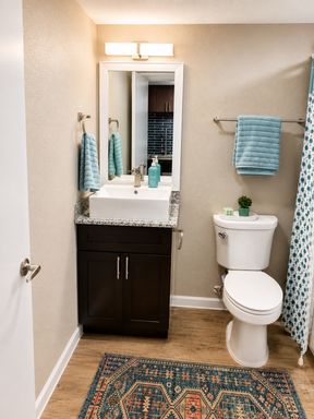 The Ivy at The Hedge – Chic Studio Apartment in North Austin (78753) | Fully Renovated, Amazing Price & Pet Friendly – photo 1