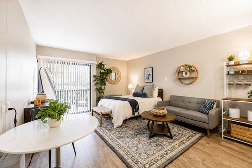 The Peak • Renovated Designer Studio • Extremely Affordable • Best Amenities & Value in Colorado Springs (80906)! – photo 1