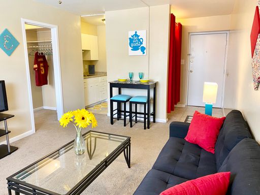 COLLEGE PLAZA: One Bedroom Apartment Just Feet from FSU's College of Law – photo 1