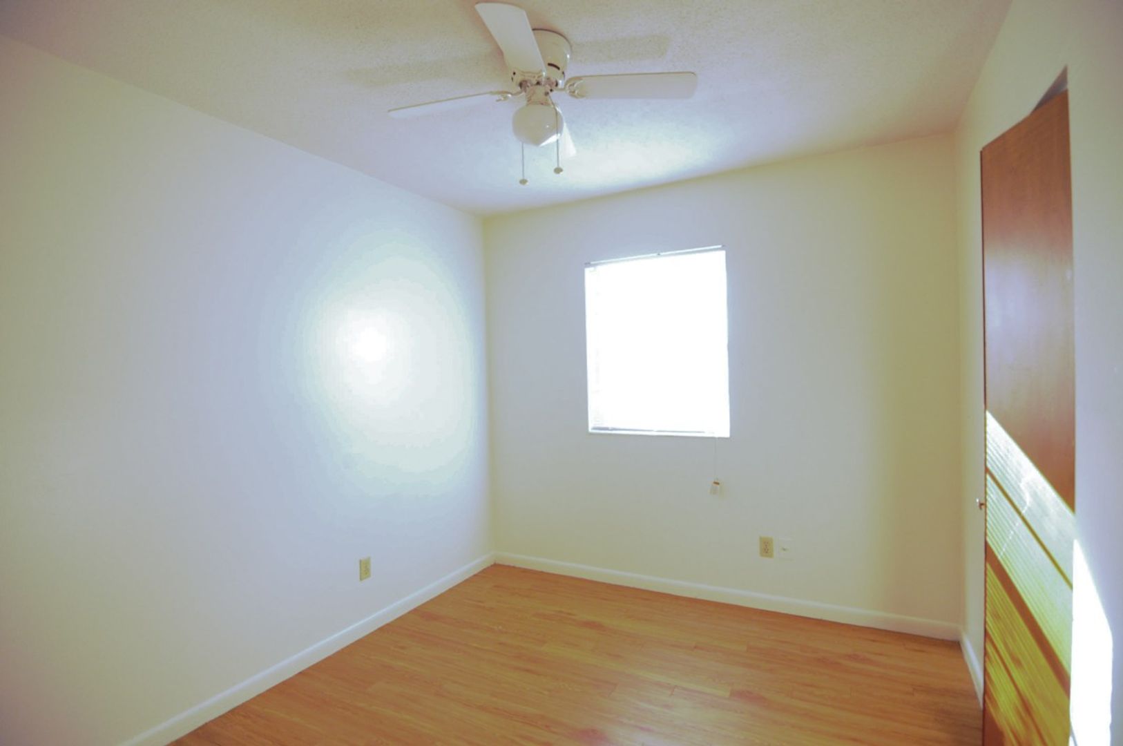 Tallahassee Apartment: 502 W Jefferson Street