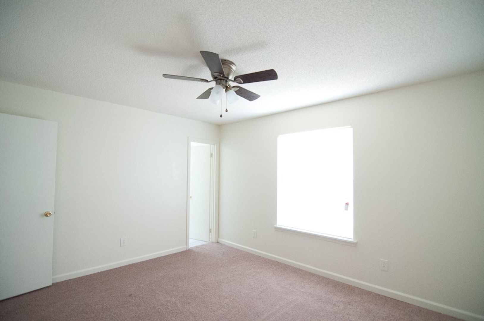 Tallahassee Apartment: 502 W Jefferson Street