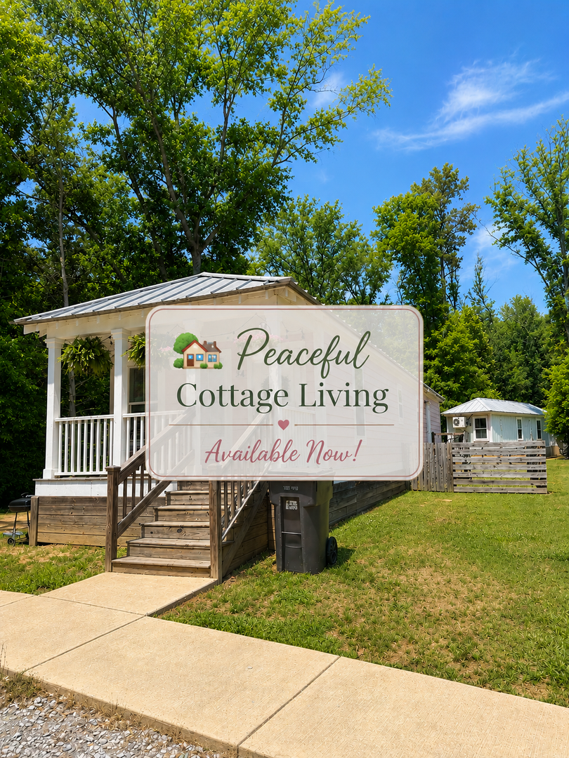Starkville Apartment: Countdown Cove
