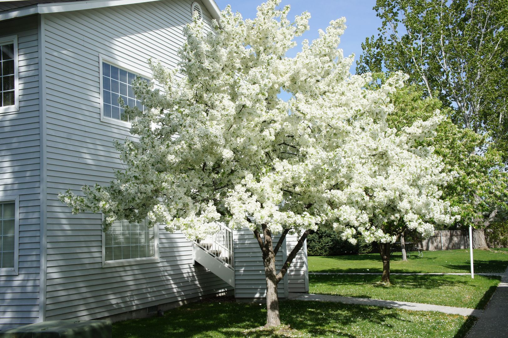 Boise Apartment: 5445 - 5497 North Pierce Park Lane