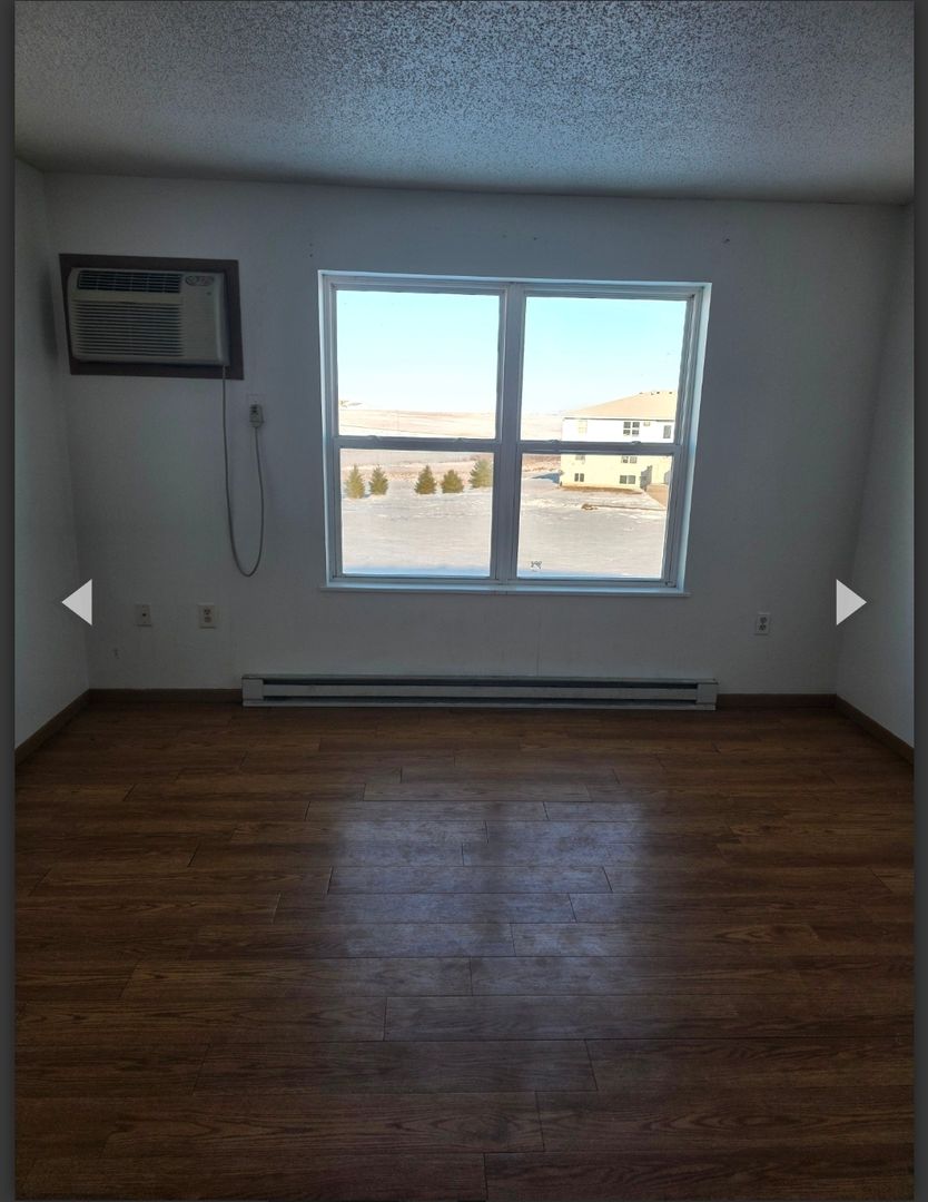 Postville Apartment: 220 States Drive