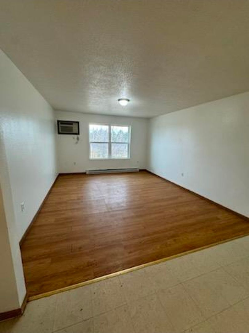 Postville Apartment: 439 States Drive