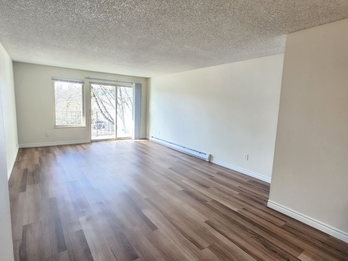 Seattle Apartment: 2116 N 112th St