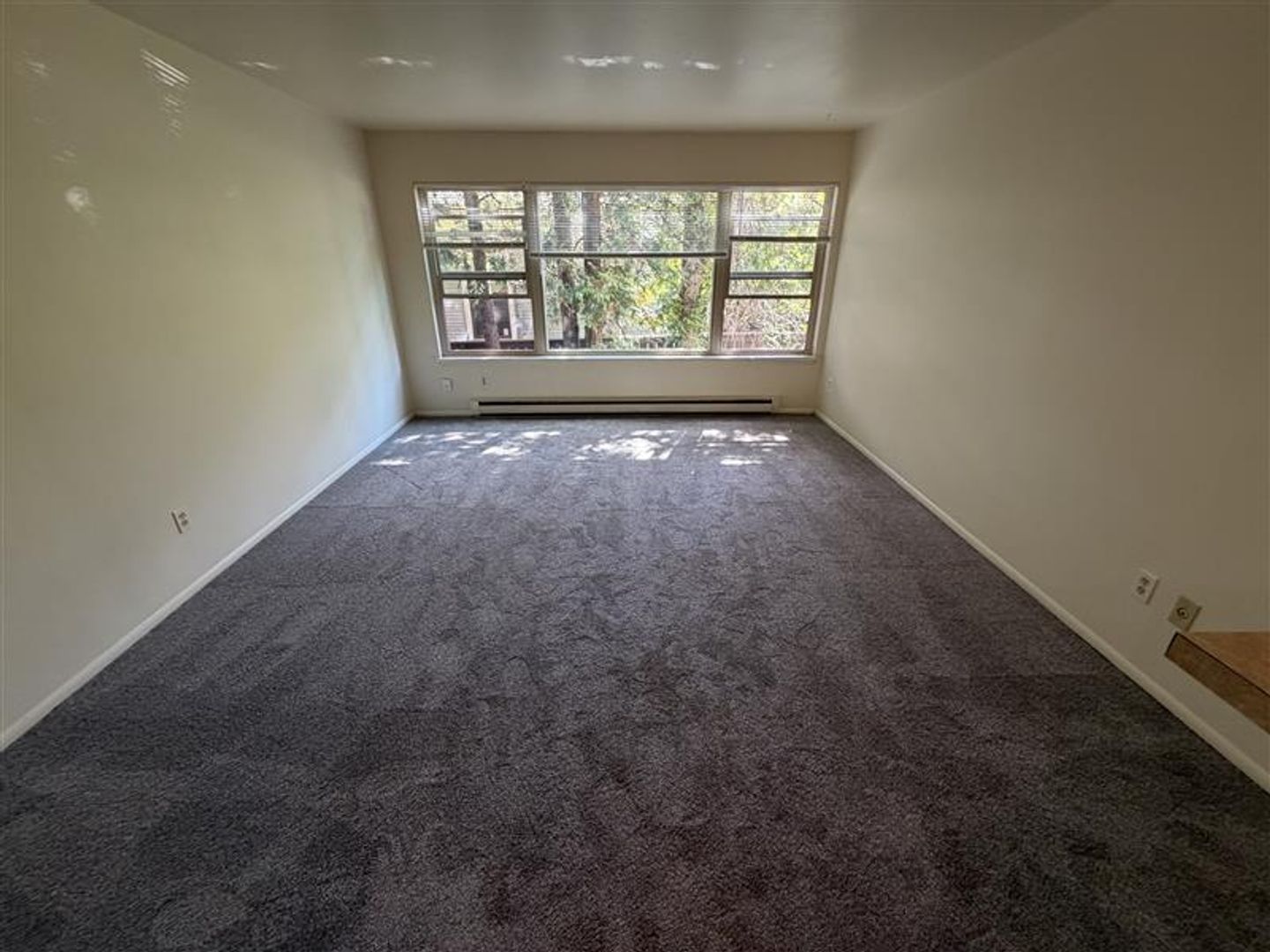 Seattle Apartment: 525 Bellevue Ave E