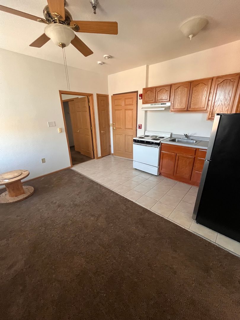 Rhinelander Apartment: 28 N Brown Street