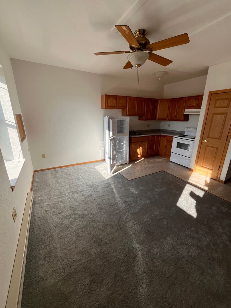 Rhinelander Apartment: 28 N Brown Street