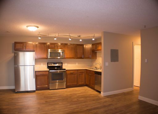 Renovated 1 Bedroom Apartment-Cute! Garden Level – photo 1