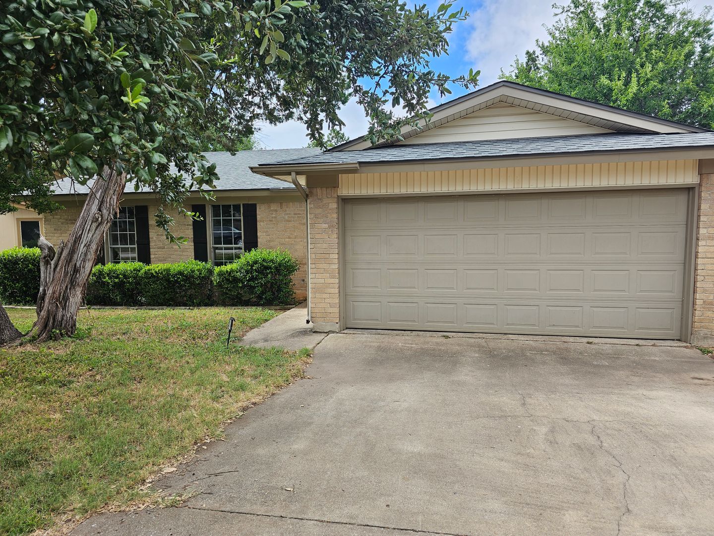 Cedar Park House: 704 Chestnut Xing
