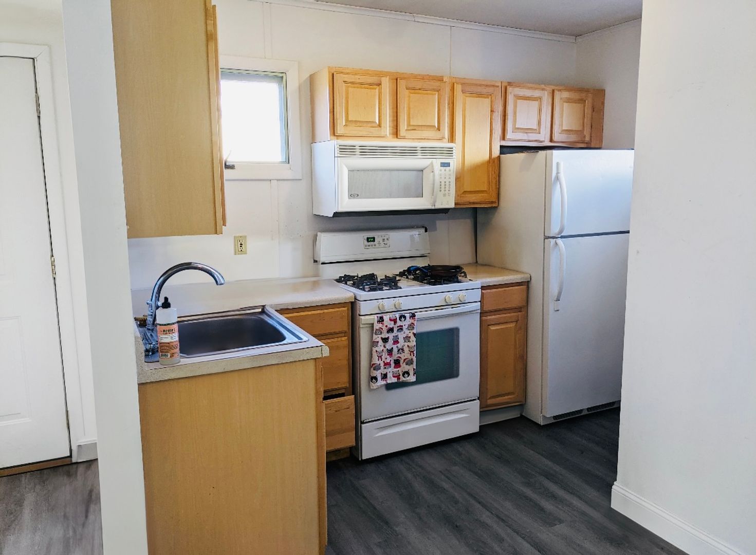 Albany Apartment: 161 South Lake Ave.