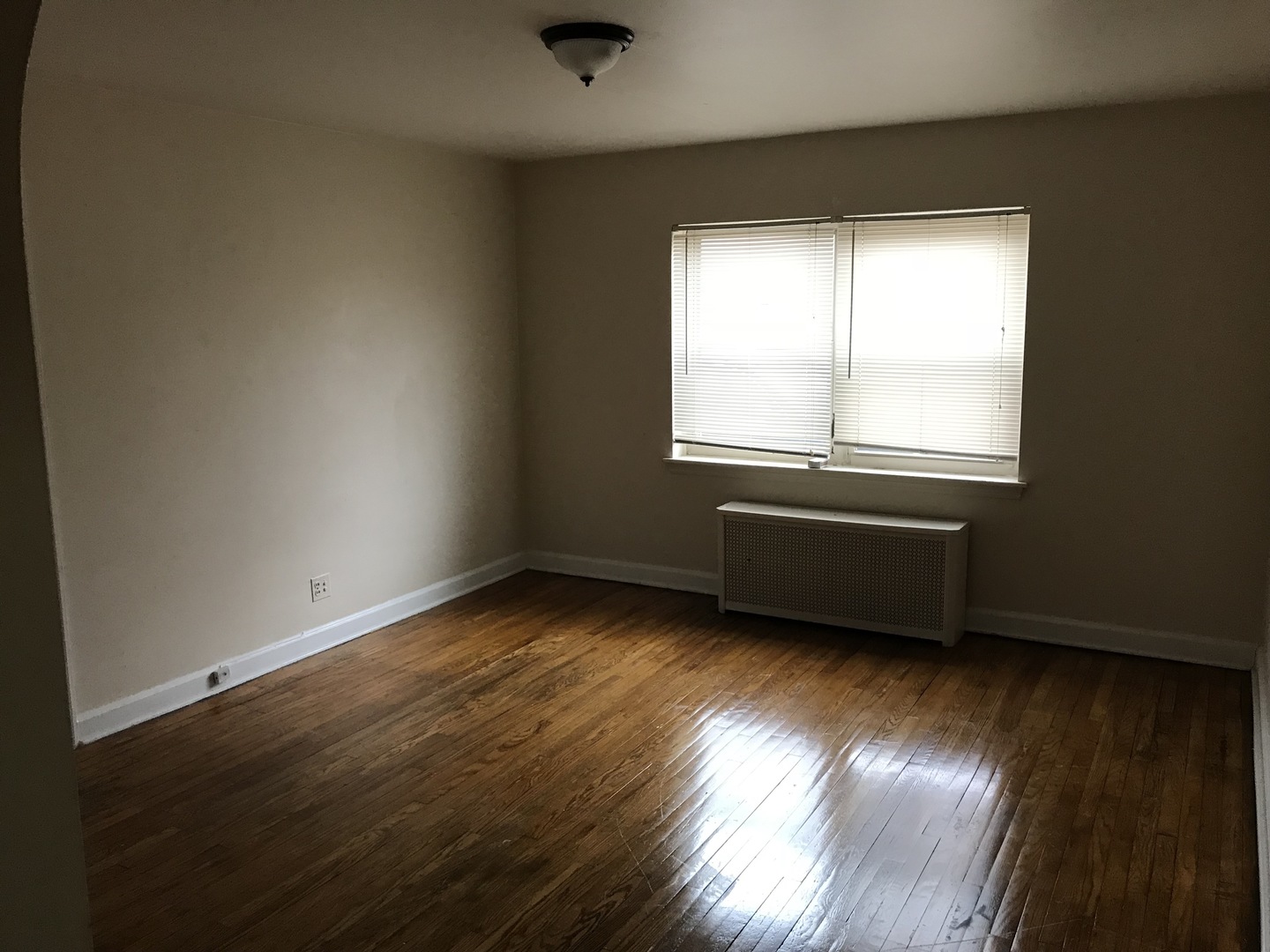 Binghamton Apartment: 59 Schiller St.