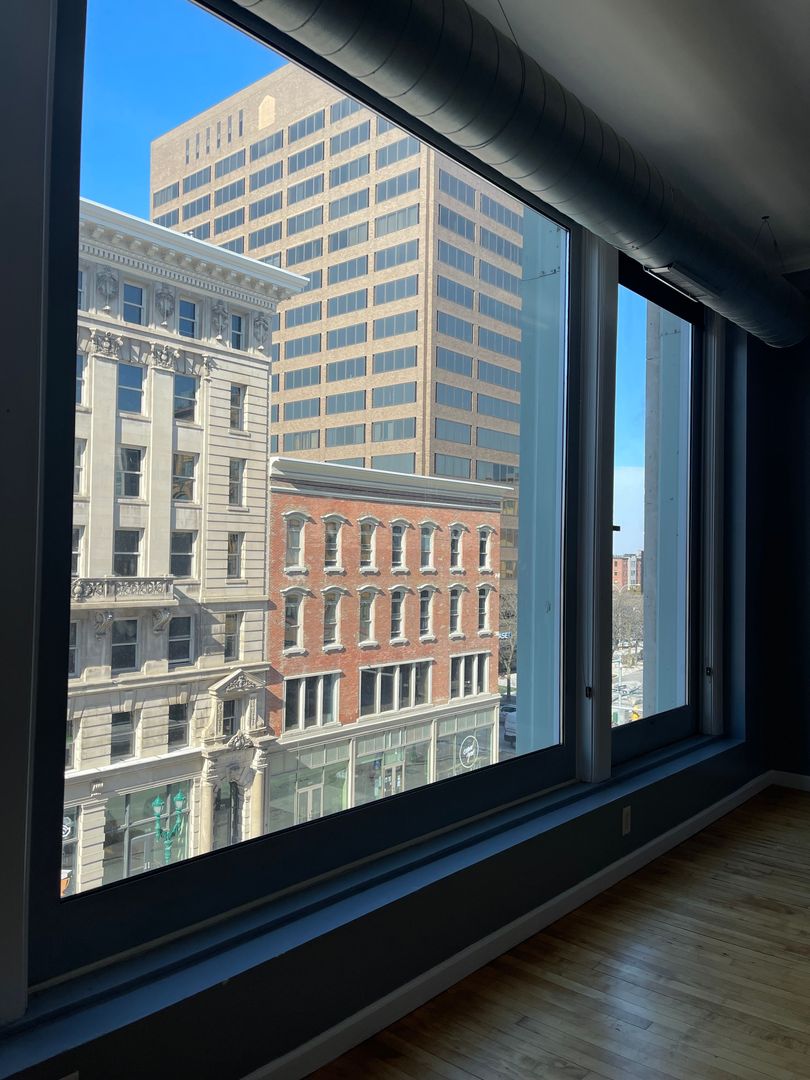 Syracuse Apartment: 319 South Salina Street