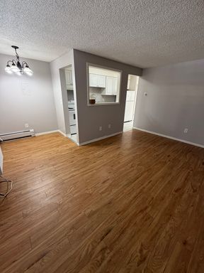 1 Bedroom 1 Bath Apartment