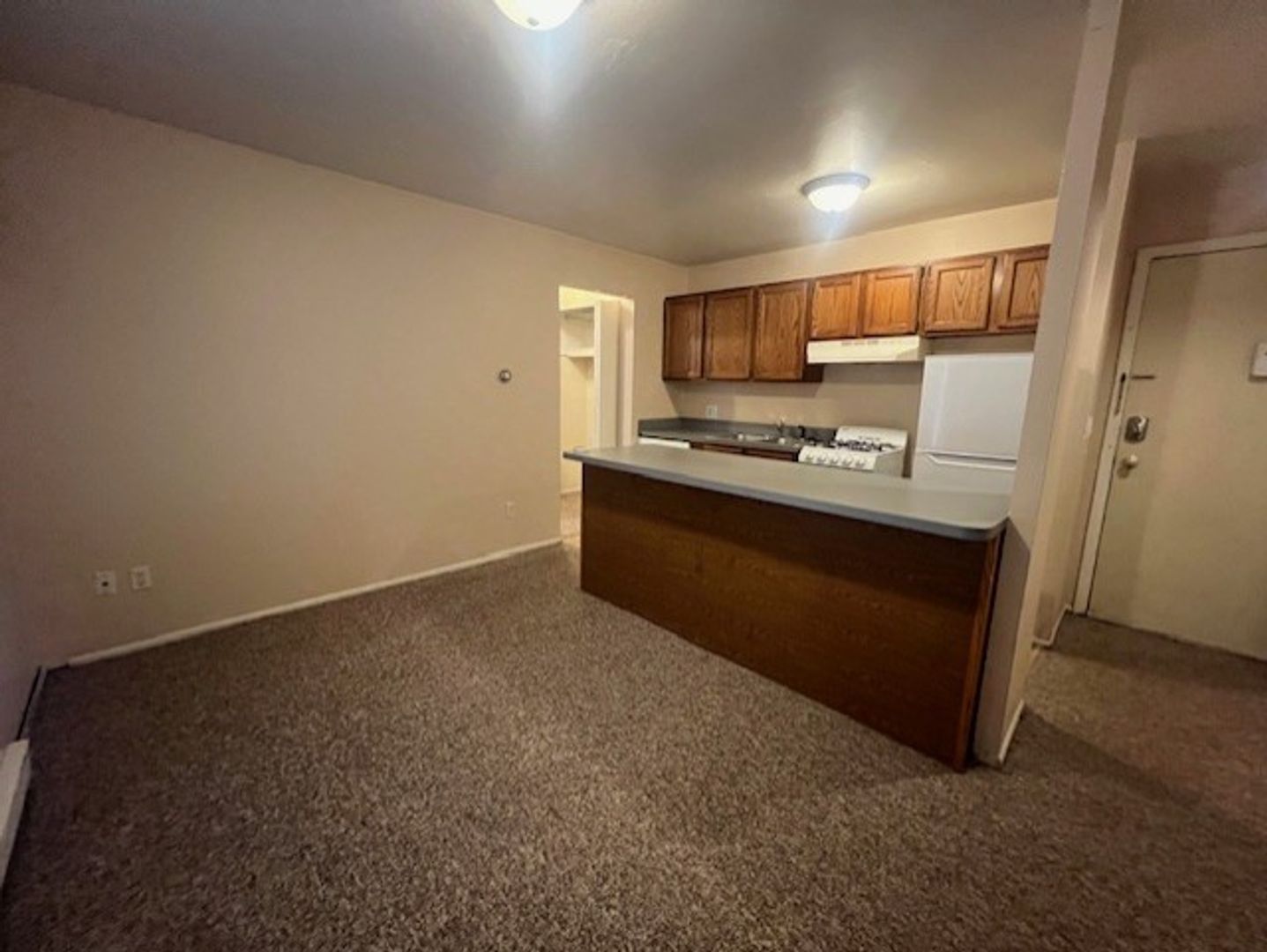 Ann Arbor Apartment: 913 Dewey