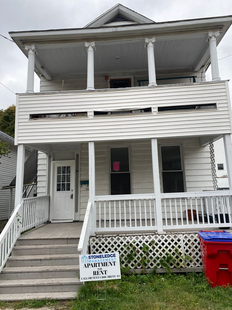Carbondale Apartment: 28 Wyoming Street