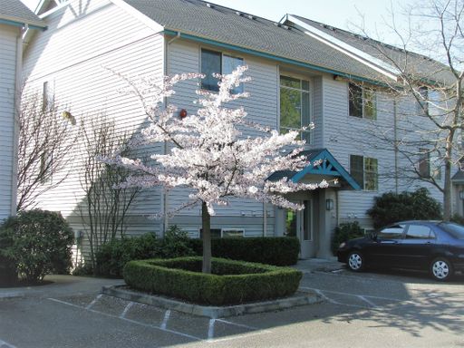 Cute 1 bedroom 1 bath unit available on the top floor. – photo 1