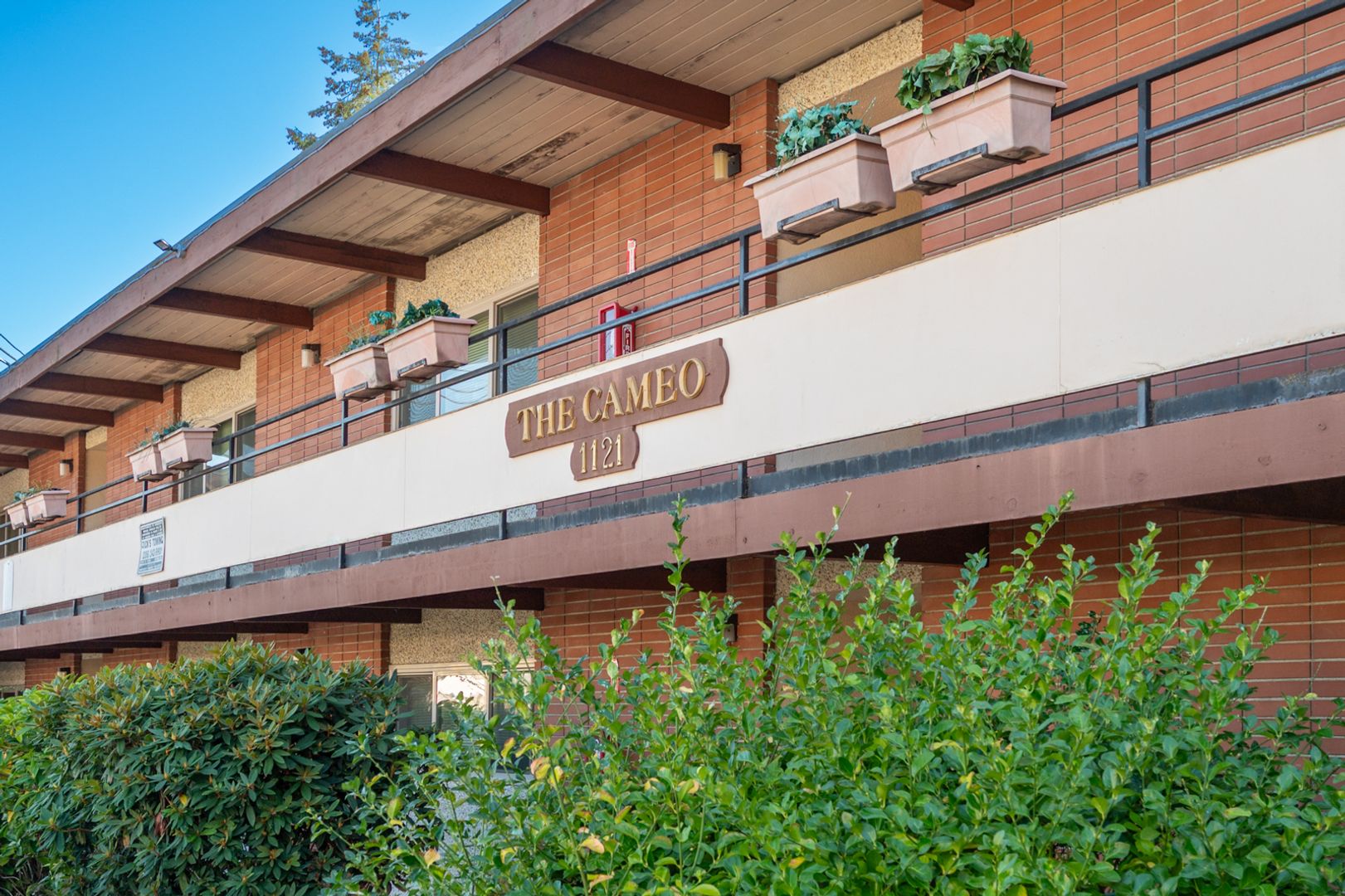 Burien Apartment: 1121 SW 126th St