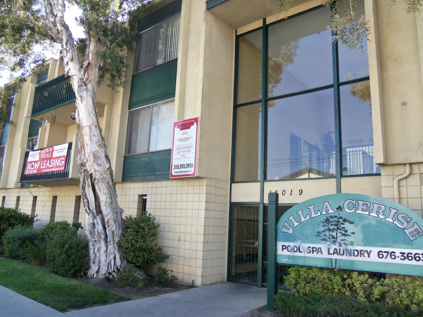 property for rent #7