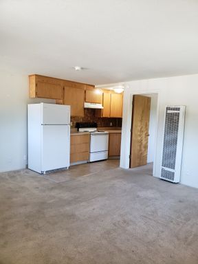 1 Bedroom 1 Bathroom Apartment in Downtown Santa Cruz.
