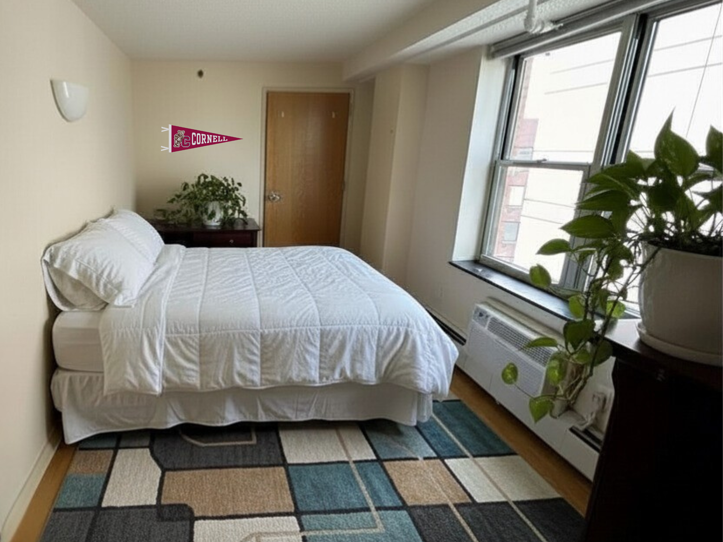 Ithaca Apartment: 400 College Avenue