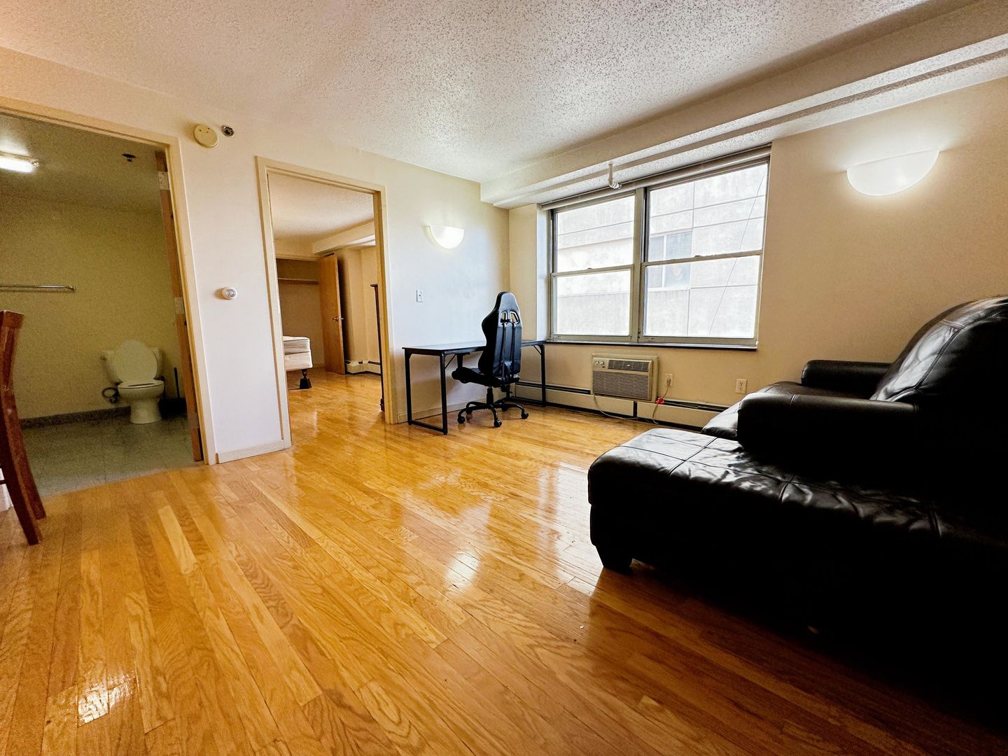 Ithaca Apartment: 400 College Avenue