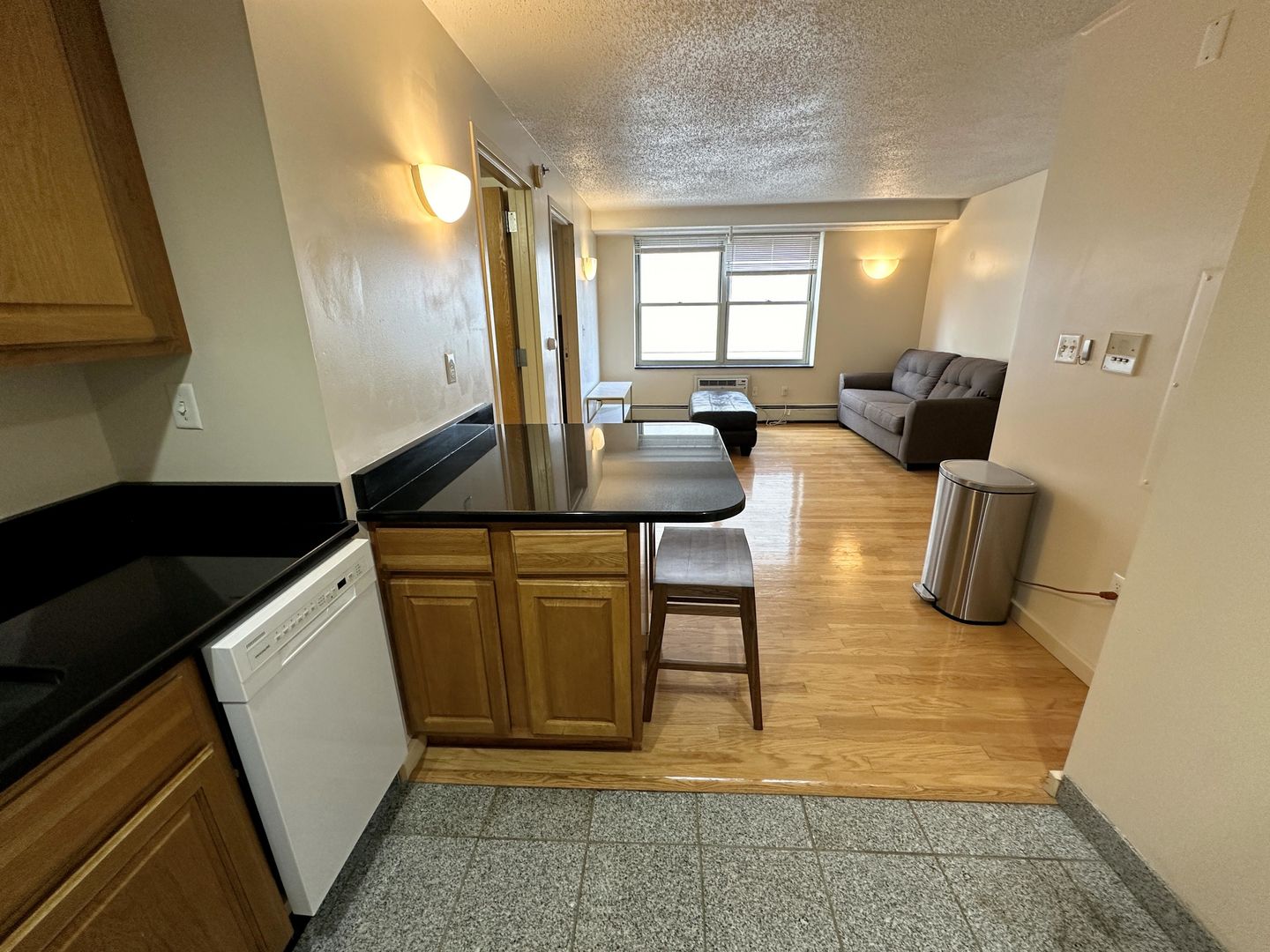 Ithaca Apartment: 400 College Avenue