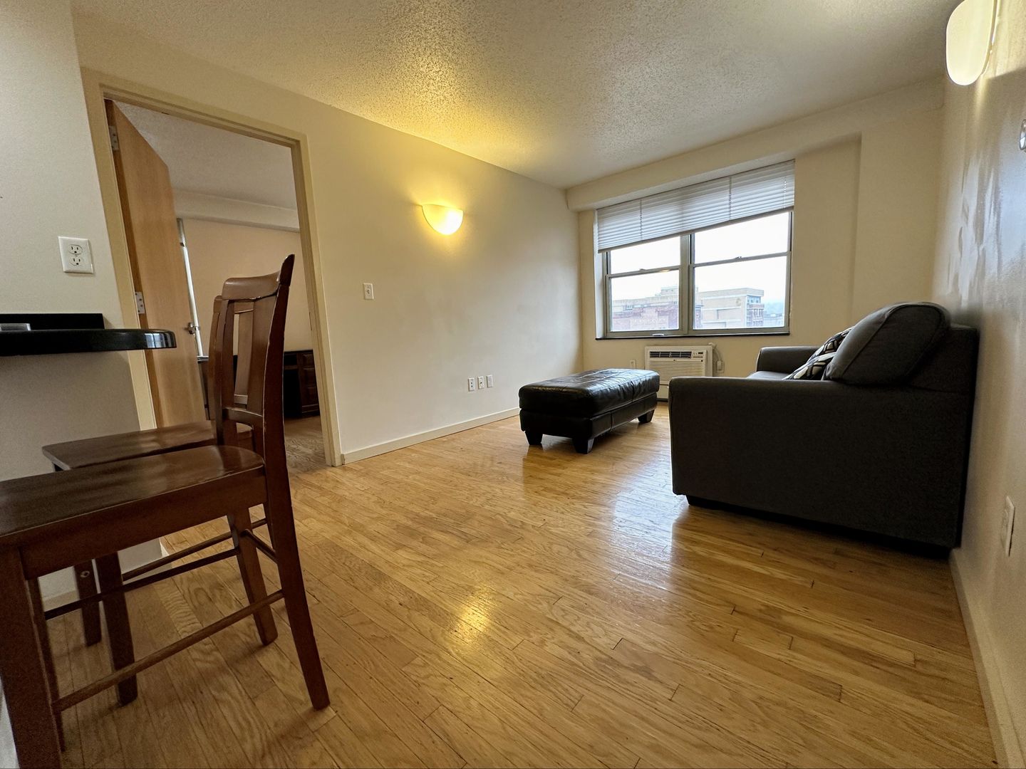 Ithaca Apartment: 400 College Avenue