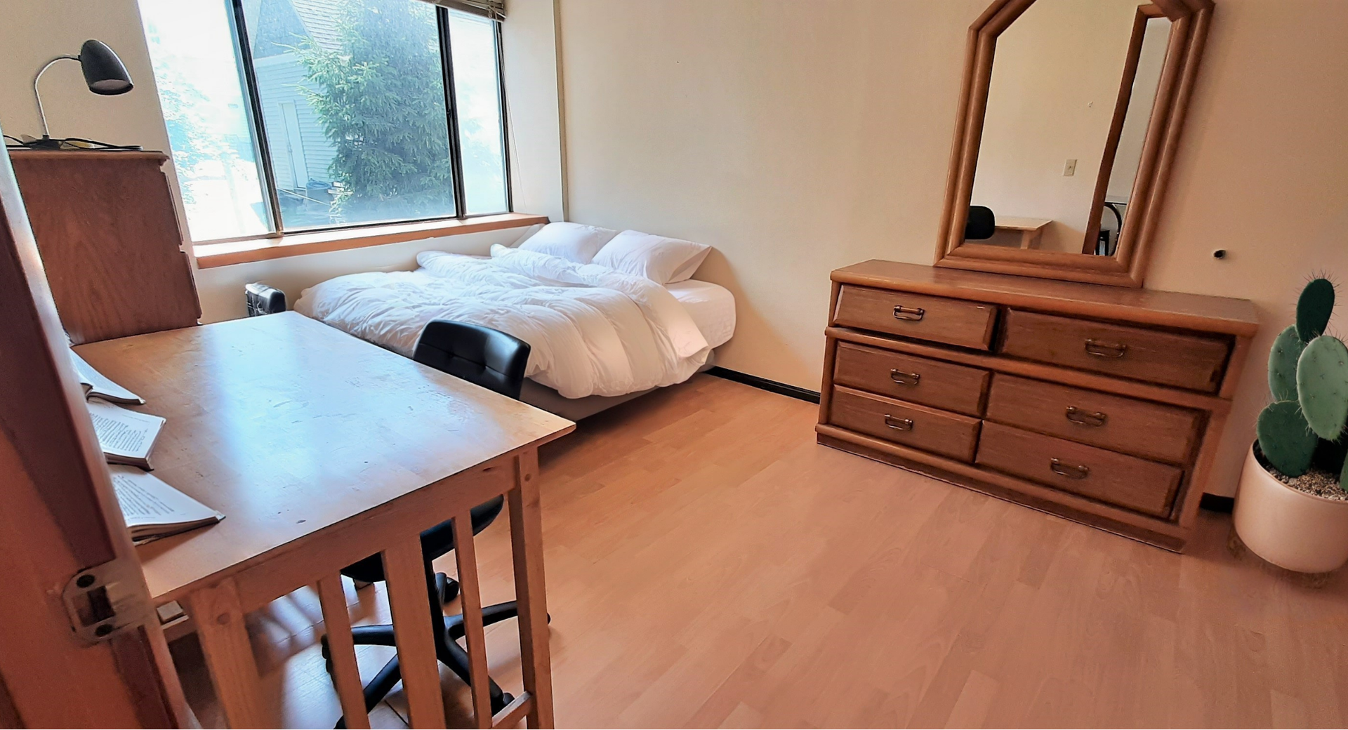 Ithaca Apartment: 211 Linden Avenue