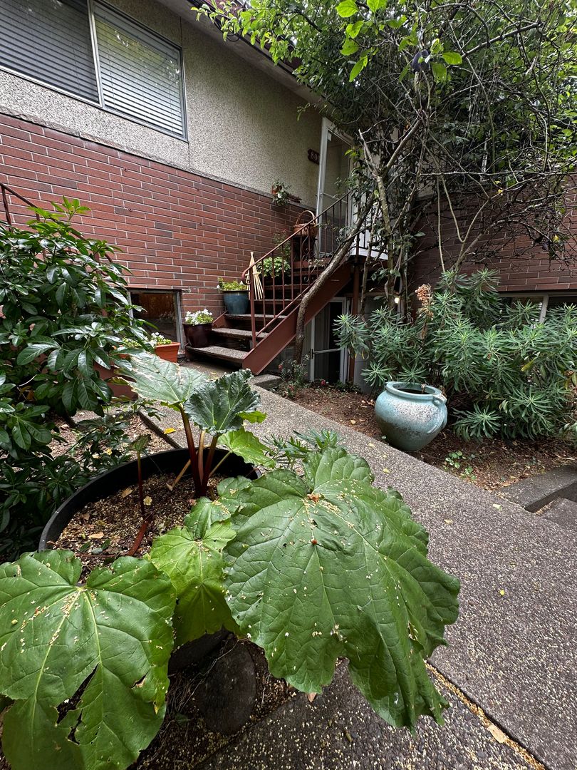 Seattle Apartment: 800 NW 62nd Street