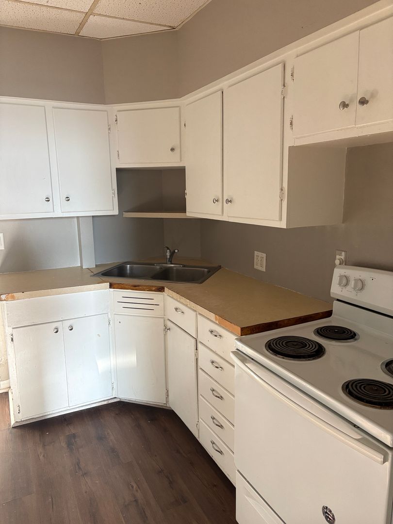 Waterloo Apartment: 223 Allen St