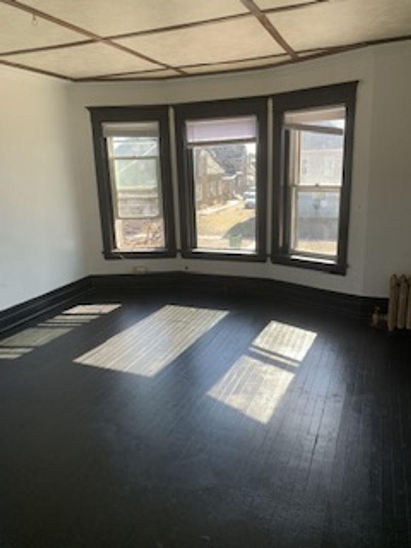 Waterloo Apartment: 117 1/2 Lafayette Street