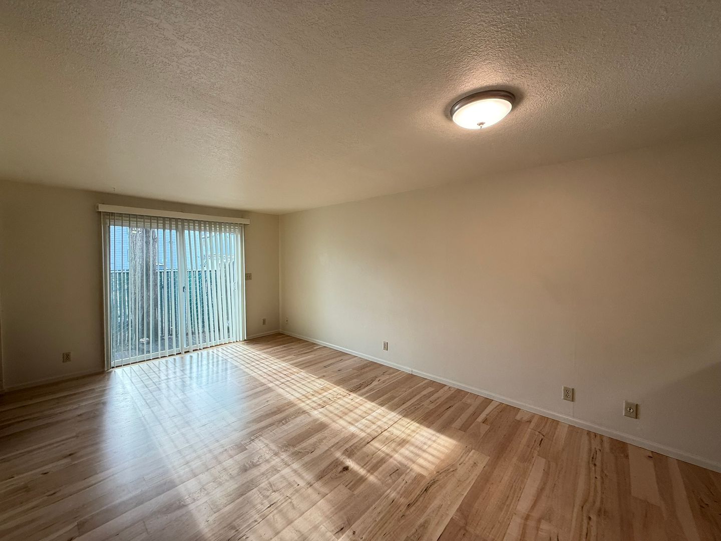 Springfield Apartment: 957 W L Street