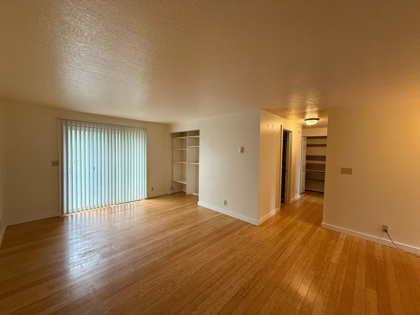 Springfield Apartment: 1003 W L Street