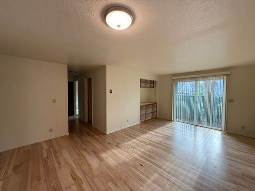 Updated Two Bedrooms in Springfield! – photo 1