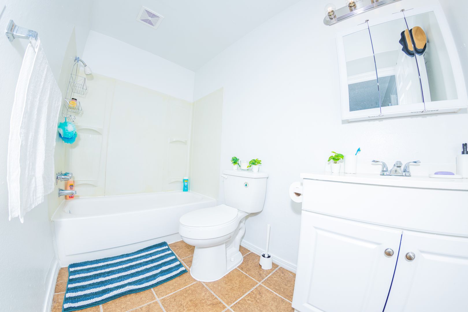 Tacoma Apartment: 5930 Sixth Ave